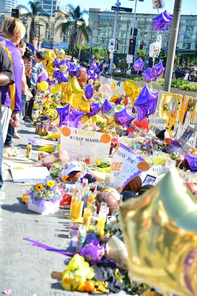 DSC_7134 (Large).JPG